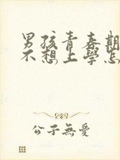 男孩青春期叛逆不想上学怎么办