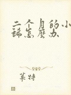 二个月的小狗拉稀怎么办