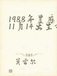1988年农历11月14出生命运