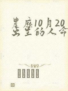 农历10月20出生的人命运封面