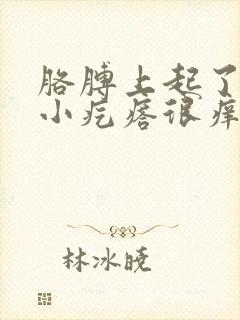 胳膊上起了好多小疙瘩很痒