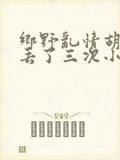 乡野乱情胡秀英丢了三次小说封面