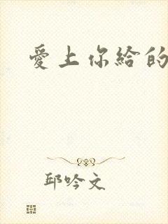 爱上你给的痛封面