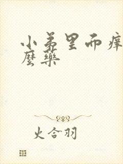 小弟里面痒用什么药