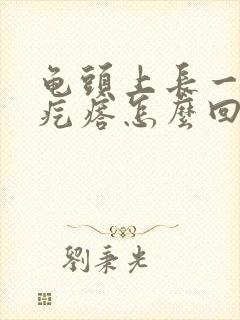 龟头上长一个红疙瘩怎么回事