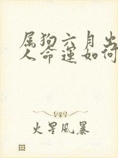 属狗六月出生的人命运如何