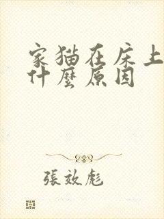 家猫在床上拉尿什么原因封面