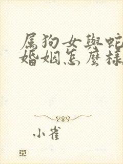 属狗女与蛇男的婚姻怎么样封面