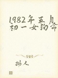 1982年五月初一女狗命运如何