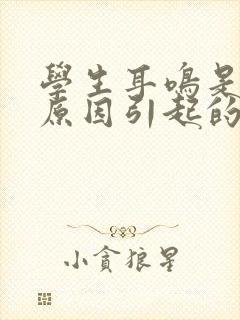 学生耳鸣是什么原因引起的