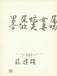 男属蛇女属蛇适合做夫妻吗