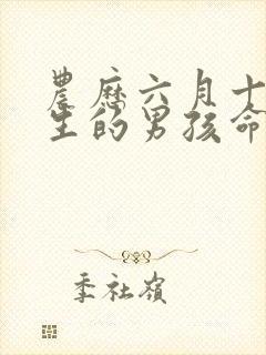 农历六月十六出生的男孩命运封面