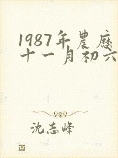 1987年农历十一月初六命运