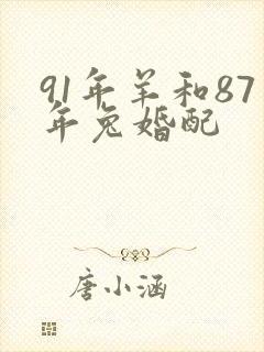 91年羊和87年兔婚配