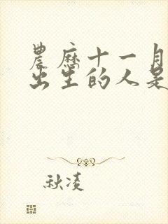 农历十一月十一出生的人是什么命封面