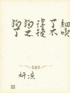 狗狗得了细小好了之后不吃东西怎么办