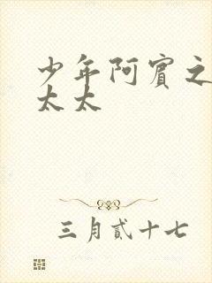 少年阿宾之房东太太封面