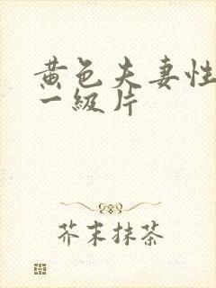 黄色夫妻性生活一级片封面