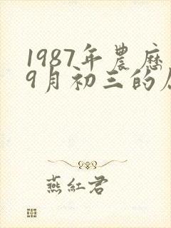 1987年农历9月初三的属兔人命运