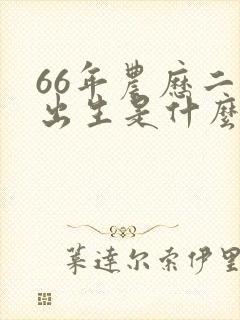 66年农历二月出生是什么命