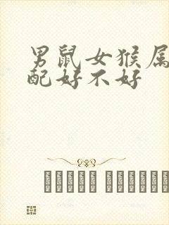 男鼠女猴属相婚配好不好