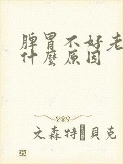 脾胃不好老放屁什么原因封面