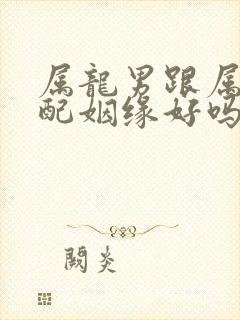 属龙男跟属兔女配姻缘好吗封面