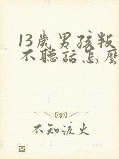 13岁男孩叛逆不听话怎么办