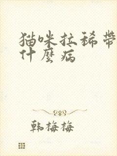 猫咪拉稀带血是什么病