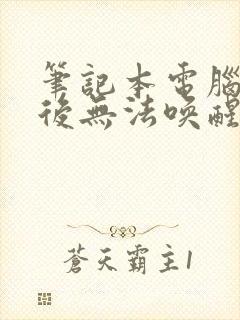 笔记本电脑黑屏后无法唤醒屏幕