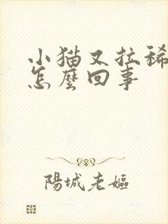 小猫又拉稀又吐怎么回事封面