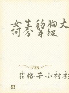 女生的胸大小如何分等级封面