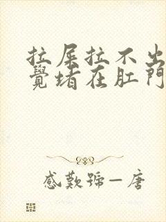 拉屎拉不出来感觉堵在肛门怎么办