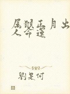 属猴正月出生的人命运封面
