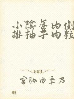 小阴唇内侧长一排柚子肉粒