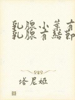 乳腺小叶有增生乳腺有结节