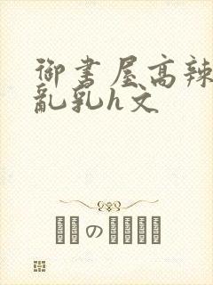 御书屋高辣h文乱乳h文