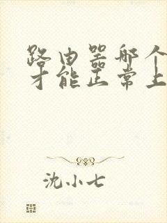 路由器哪个灯亮才能正常上网