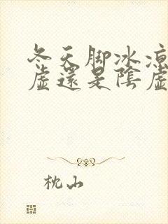 冬天脚冰凉是阳虚还是阴虚封面