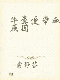 牛粪便带血什么原因