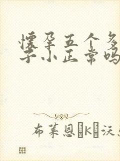 怀孕五个多月肚子小正常吗封面