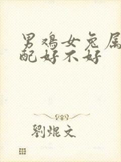 男鸡女兔属相婚配好不好