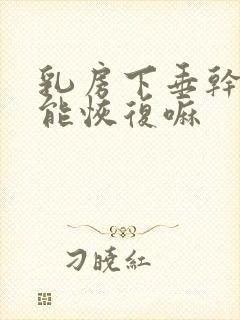 乳房下垂干瘪还能恢复嘛封面