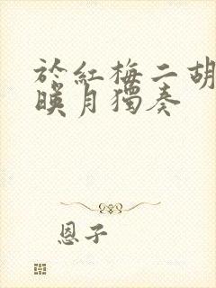 于红梅二胡二泉映月独奏