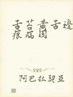 舌苔黄舌边有齿痕病因