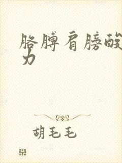 胳膊肩膀酸痛无力封面