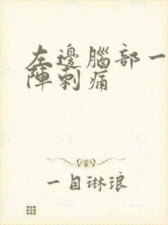 左边脑部一阵一阵刺痛