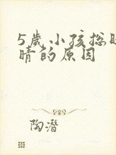 5岁小孩总眨眼睛的原因