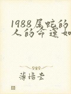 1988属蛇的人的命运如何
