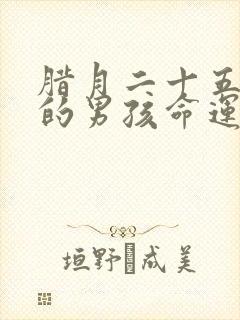 腊月二十五出生的男孩命运